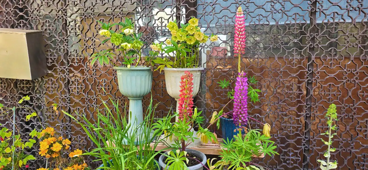 彦島週報20260329